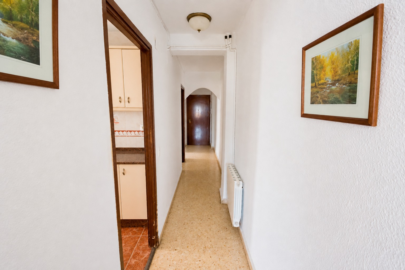 Pasillo y distribución interior