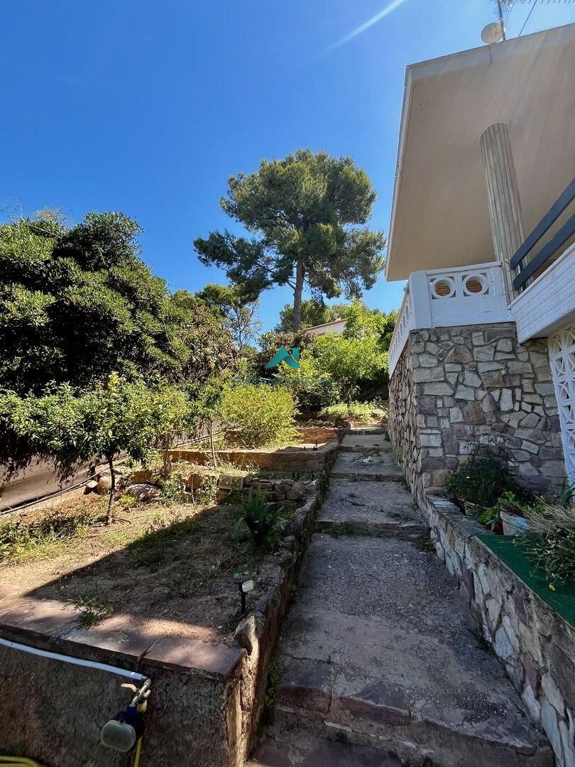 Chalet en Naquera — fotografía 12