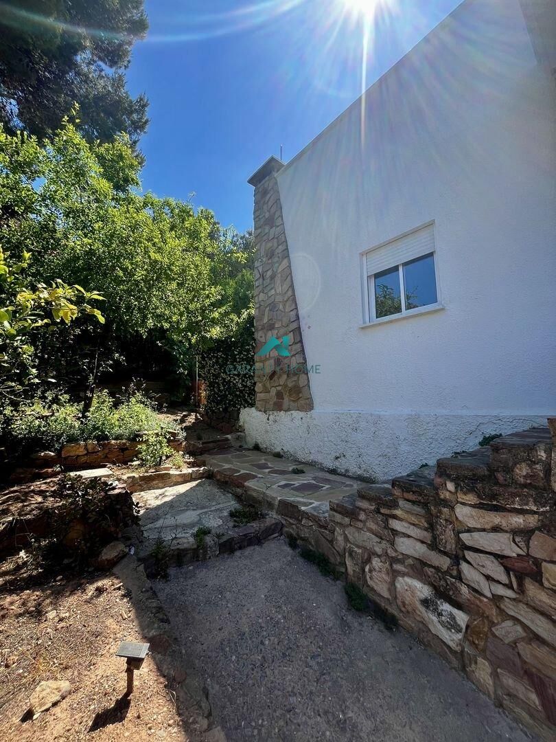 Chalet en Naquera — fotografía 13