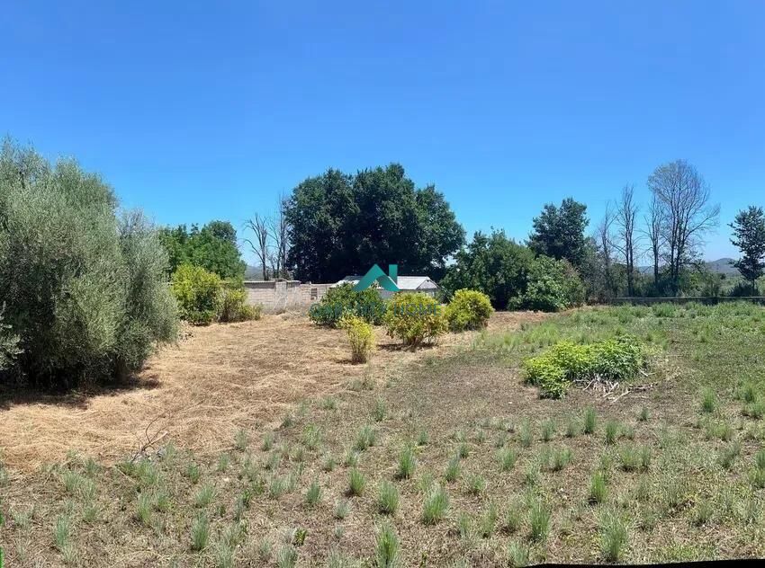 Terreno urbano en Algimia de Alfara — fotografía 2