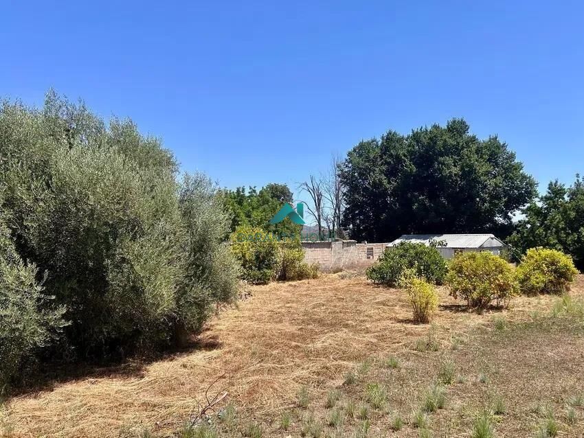 Terreno urbano en Algimia de Alfara